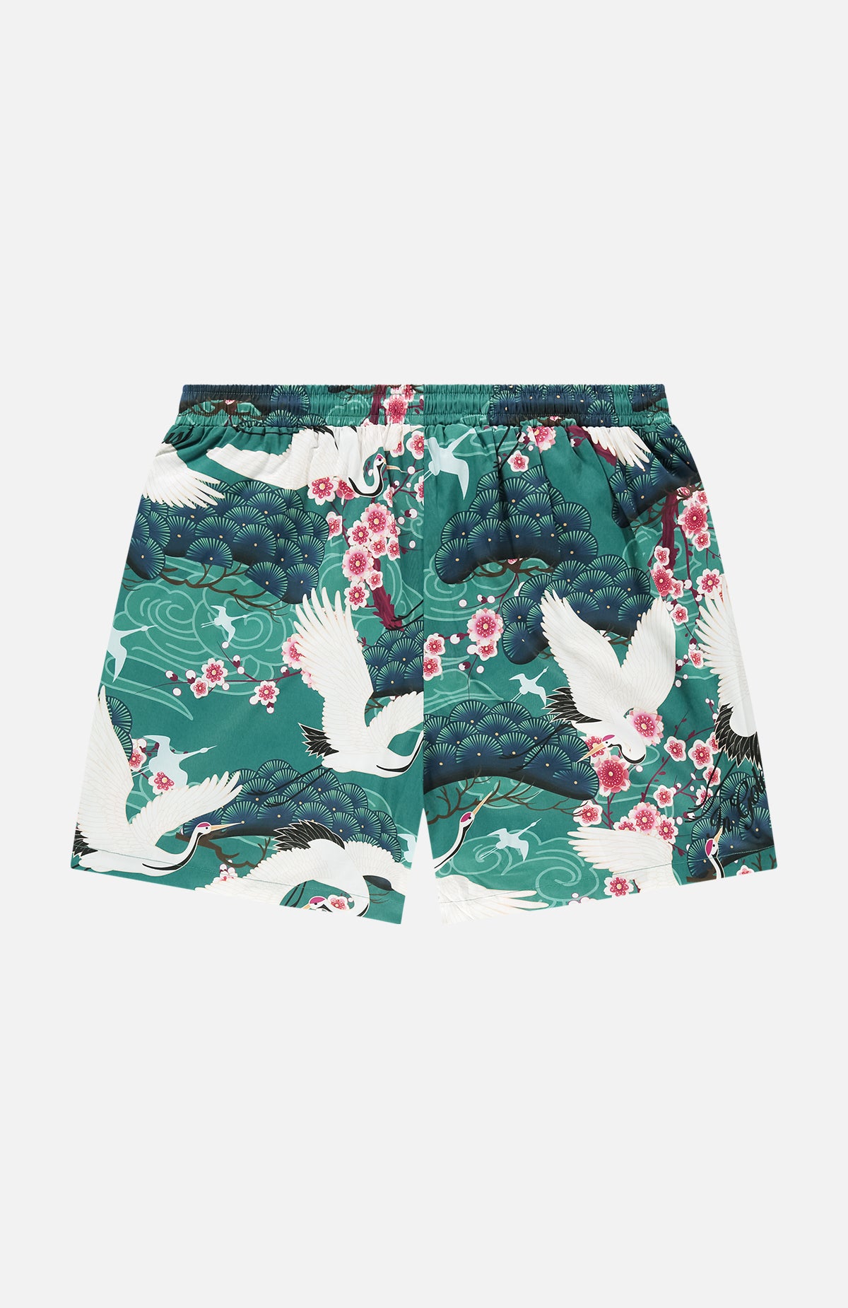 The Birds Swim Short