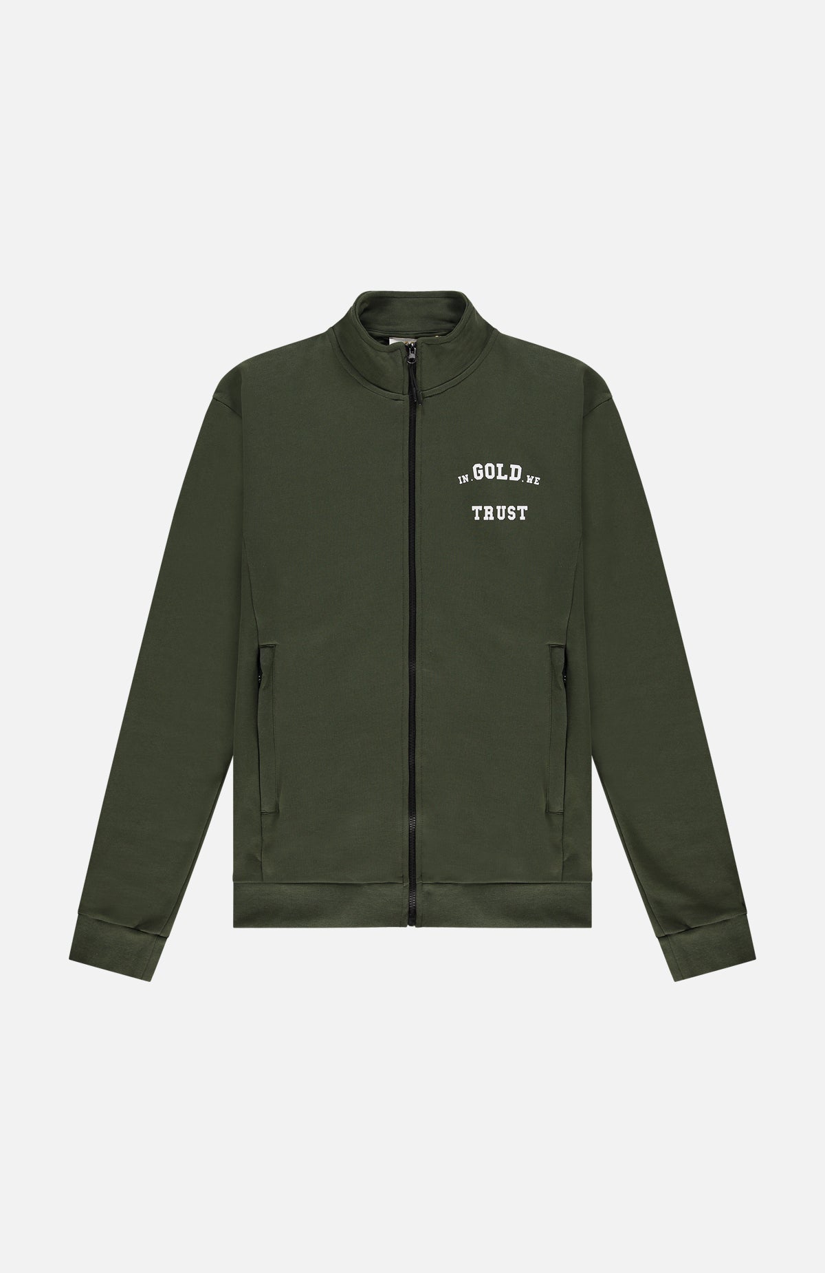 The Crocodile Forest Night